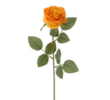 Roos l66cm oranje