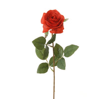 Roos l66cm rood