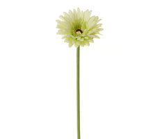 Gerbera l58cm green