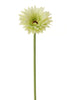 Gerbera l58cm green