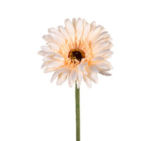 Gerbera l58cm salmon