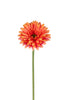 Gerbera l58cm coral