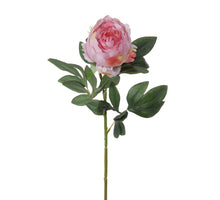 Peony l60cm pink