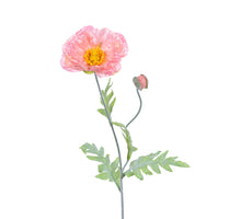 Papaver l74cm roze