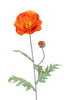 Poppy l74cm orange