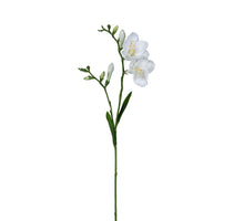 Freesia l68cm white