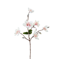 Magnolia l63cm creme/roze