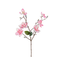 Magnolia l63cm roze