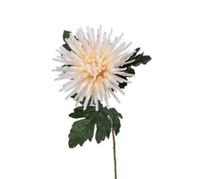 Chrysant l62cm creme