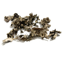 Korstmos 'Black moss' 250g naturel
