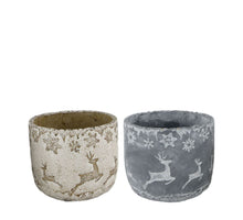 Planter cement 15.5x15.5x13.5cm 2 Mixed grey