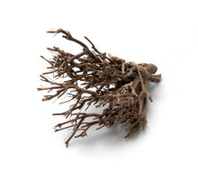 John branch ±35cm natural 500g
