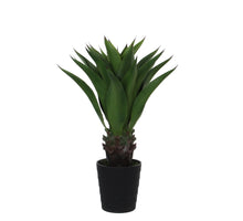 Agave in plastic pot groen - h80xd70cm