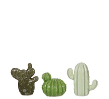 Cactus groen d.groen l.groen 3 assorti - l8,5xb4,5xh9cm