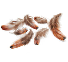 Pheasant breast feathers 4-8cm 15gr