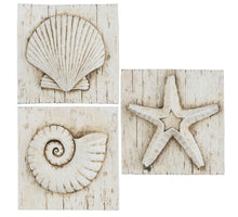 Muurdecoratie schelp zeester creme 3 assorti - l17xb17xh4cm