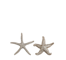 Zeester champagne 2 assorti - h2xd9cm