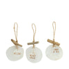 Pendant capiz nature 9x16x2cm 3 assorted Natural