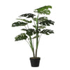 Monstera in green pot - h100xd70cm
