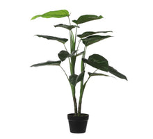 Philodendron in pot groen - h100xd70cm