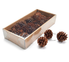 Pinus Nigra natural 18pcs on 10cm wire