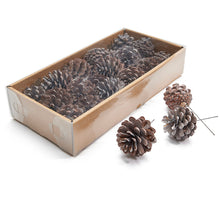 Pinus Nigra frosted white 18pcs on 10cm wire