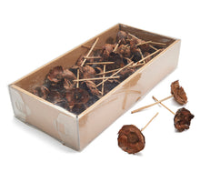 Coco flower natural 55pcs on 10cm stick