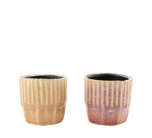 Planter ceramic 7.5x7.5x7cm 2 assorti Mixed