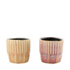 Planter ceramic 7.5x7.5x7cm 2 assorted Mixed
