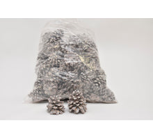 PINUS PINEA 
MIXED WHITE WASHED POLY/75 PC
