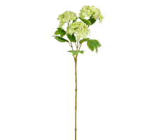 Viburnum groen Real Touch - l81cm