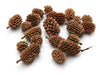 Casuarina natural 500 grams