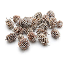 Casuarina bevroren wit 400g