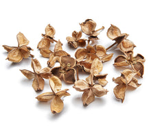 Cottonpods natural 200gr