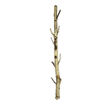 Branch birch Ø8x200cm Natural