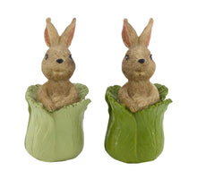 Rabbit polyresin 5x5x10cm mixed