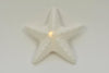 Starfish Porcelain matt white LED incl. batteries 12.5x13x3.5cm