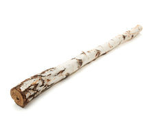 Berkenstam 200cm (gemengd)