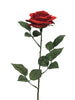 Rosa Dijon red 64cm