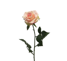 Rosa Dijon cream/pink 64cm