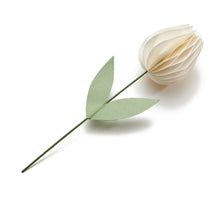 Tulp 'Isabelle' crème Ø7,5x30cm