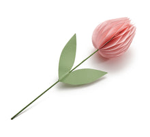 Tulp 'Isabelle' nude pink Ø7,5x30cm
