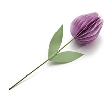 Tulp 'Isabelle' lavendel Ø7,5x30cm