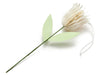 Tulip 'Aurelie' cream Ø7.5x30cm