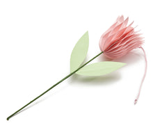 Tulp 'Aurelie' nude pink Ø7,5x30cm