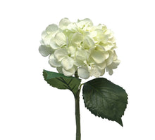 Hydrangea Artist cream 48cm