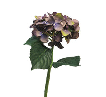 Hydrangea Artist lavender 48cm