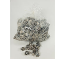 PINUS SILVESTERS 3-5 CM WHITE WASHED POLY/5 KG