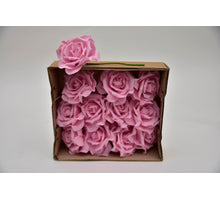 Elegant rose - s'pink 8 cm - wbx 12 pcs