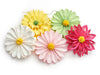 Pendant flower 'Parade' 5 assorted 30cm